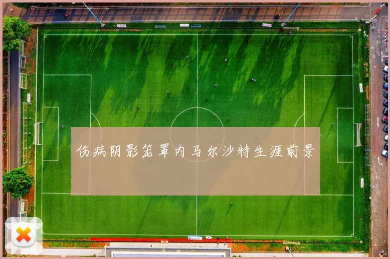 伤病阴影笼罩内马尔沙特生涯前景