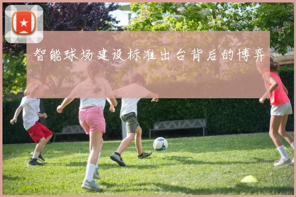智能球场建设标准出台背后的博弈