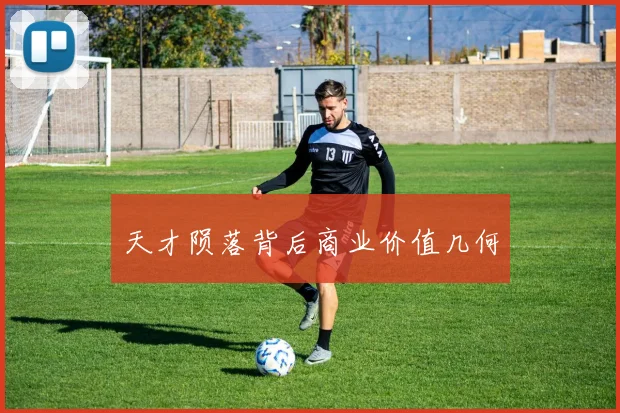天才陨落背后商业价值几何