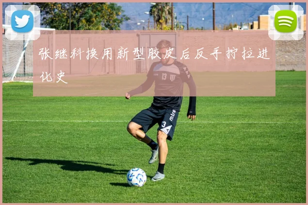 张继科换用新型胶皮后反手拧拉进化史