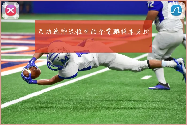 足协选帅流程中的李霄鹏样本分析