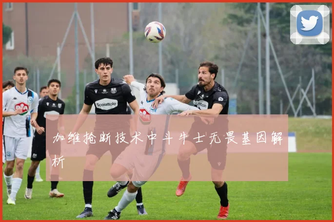 加维抢断技术中斗牛士无畏基因解析