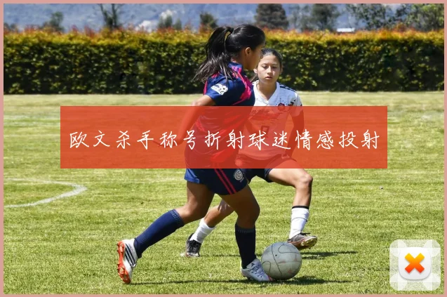 欧文杀手称号折射球迷情感投射