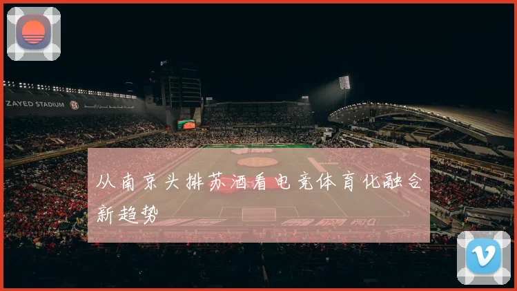 从南京头排苏酒看电竞体育化融合新趋势