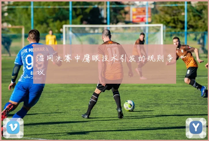 温网决赛中鹰眼技术引发的规则争议
